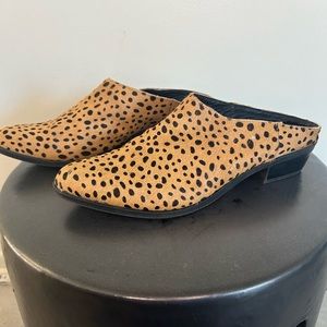 Cheetah Mules